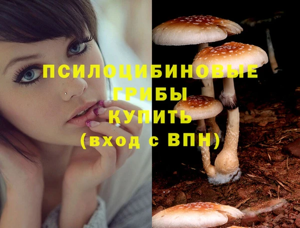 прущие крисы Кукмор