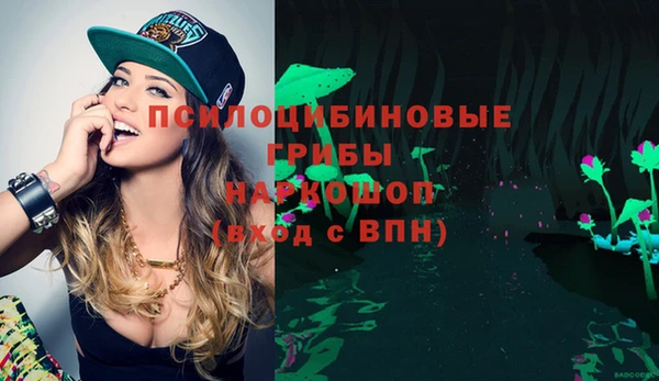 ешки Лагань