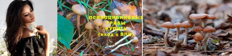 Псилоцибиновые грибы Magic Shrooms  Верхоянск 