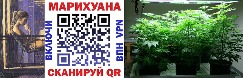 где найти   Верхоянск  Бошки марихуана SATIVA & INDICA 